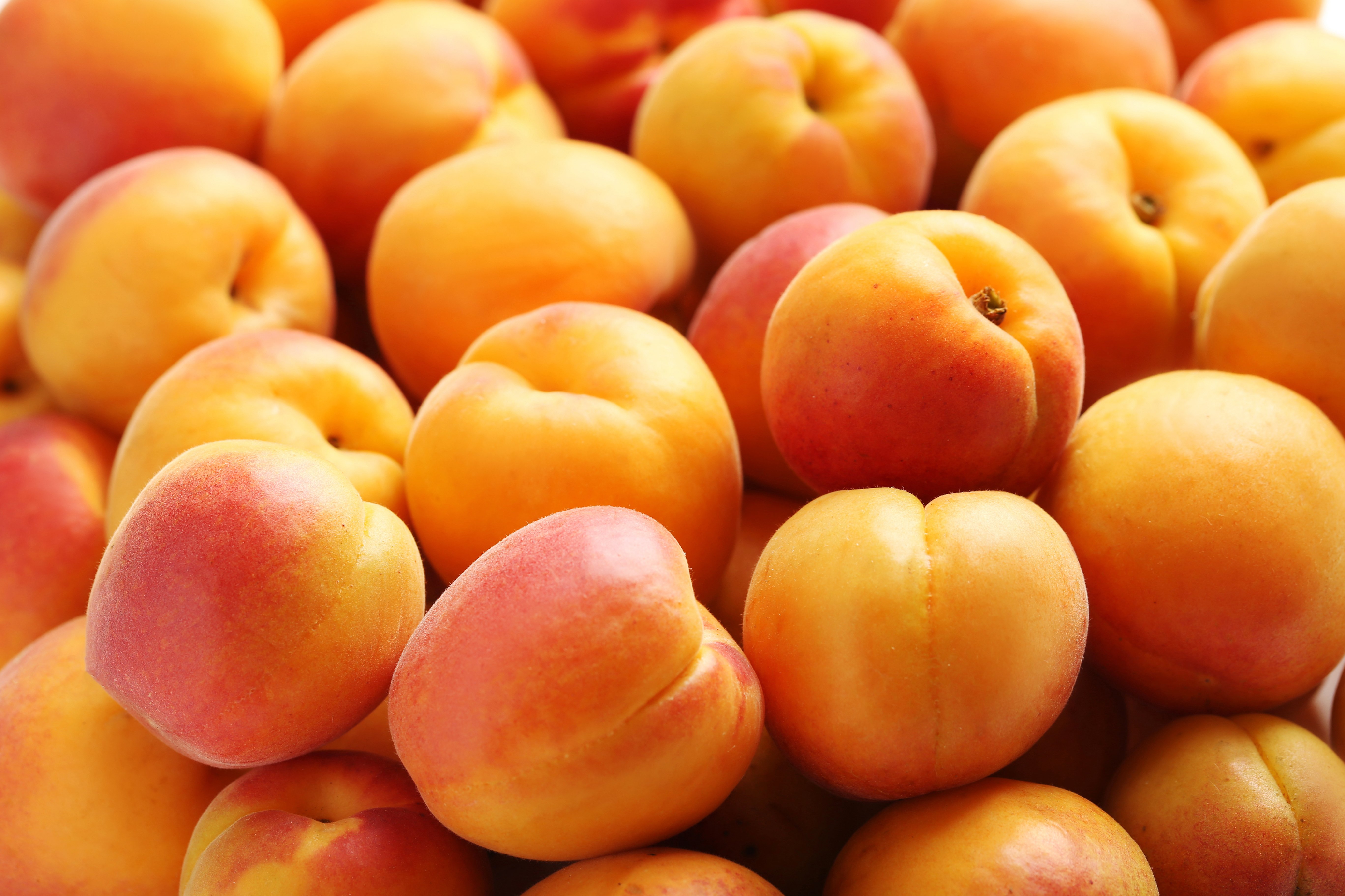 Apricot_AdobeStock_157436867