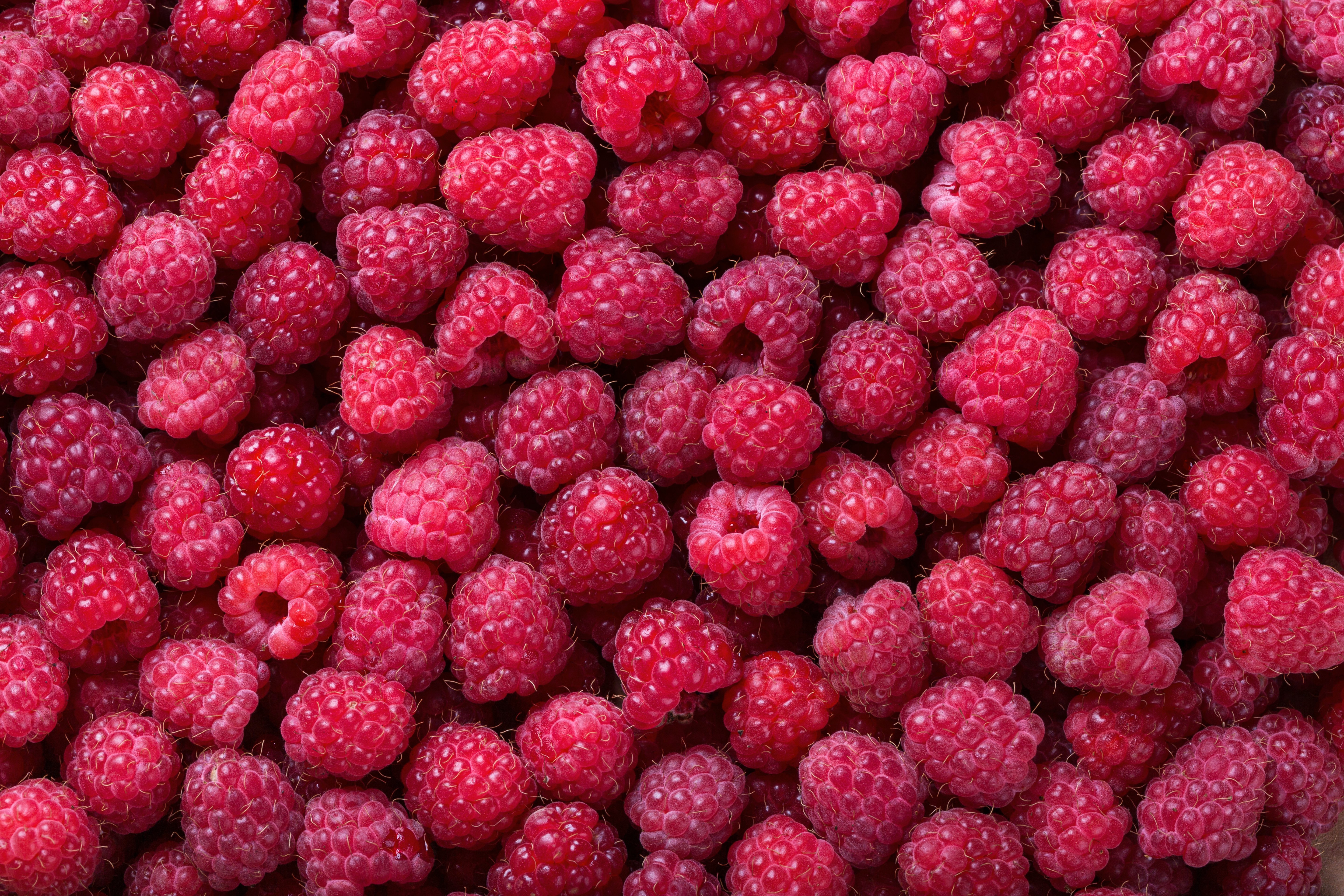 raspberries_AdobeStock_162861182